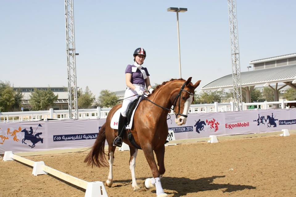 Darcy in Doha