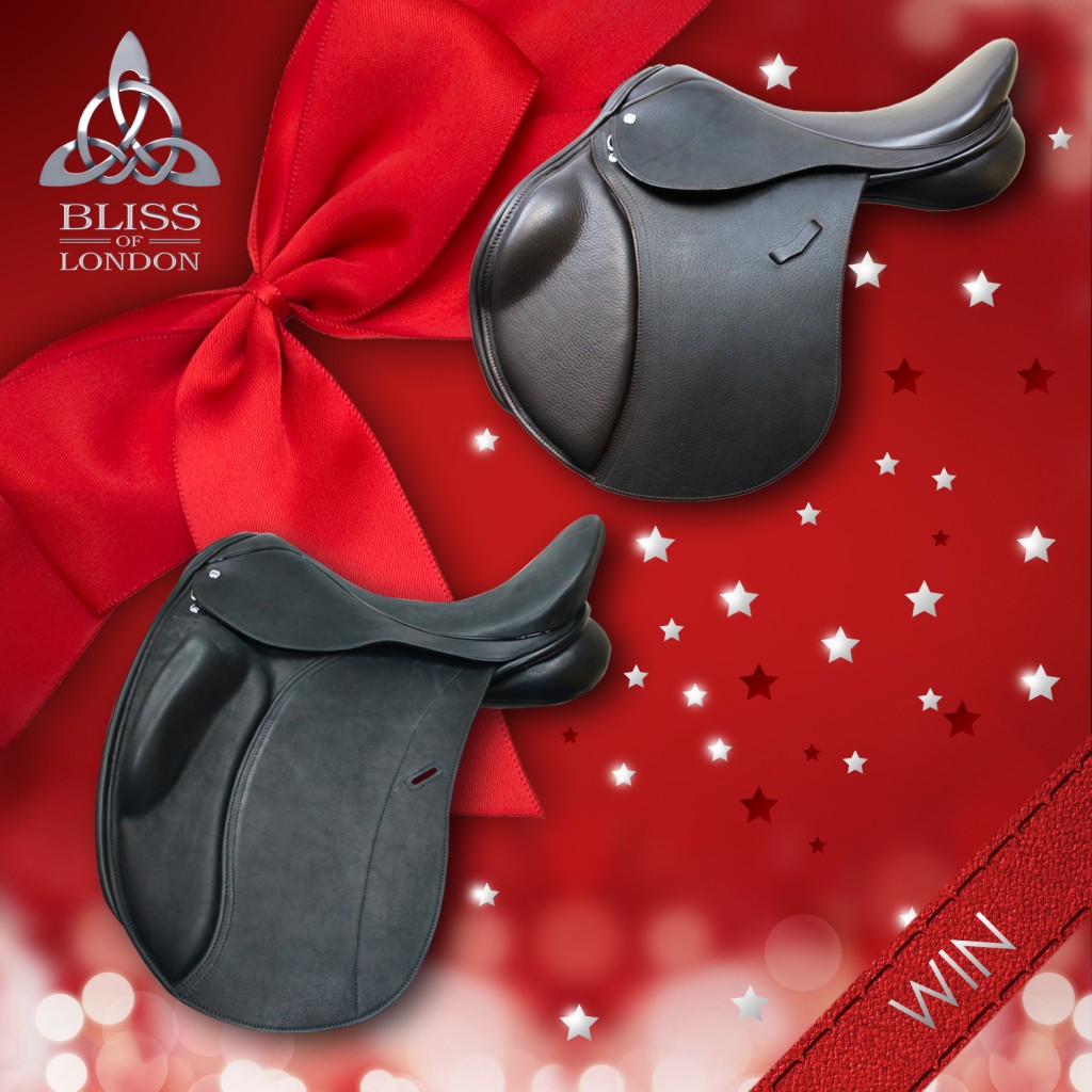 **COMPETITION - WIN A FABULOUS LOXLEY SADDLE**
